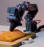 NormaCore ElRobot photo 4