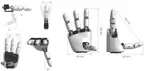 Amazing Hand photo 4