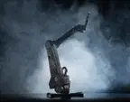Dexter HD/HDI — Arm Robots