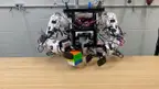 Berkeley Humanoid Lite photo 2