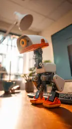 Microduck photo 3