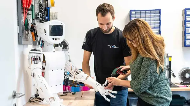 pib — Open-Source 3D-Printable Humanoid — Humanoid