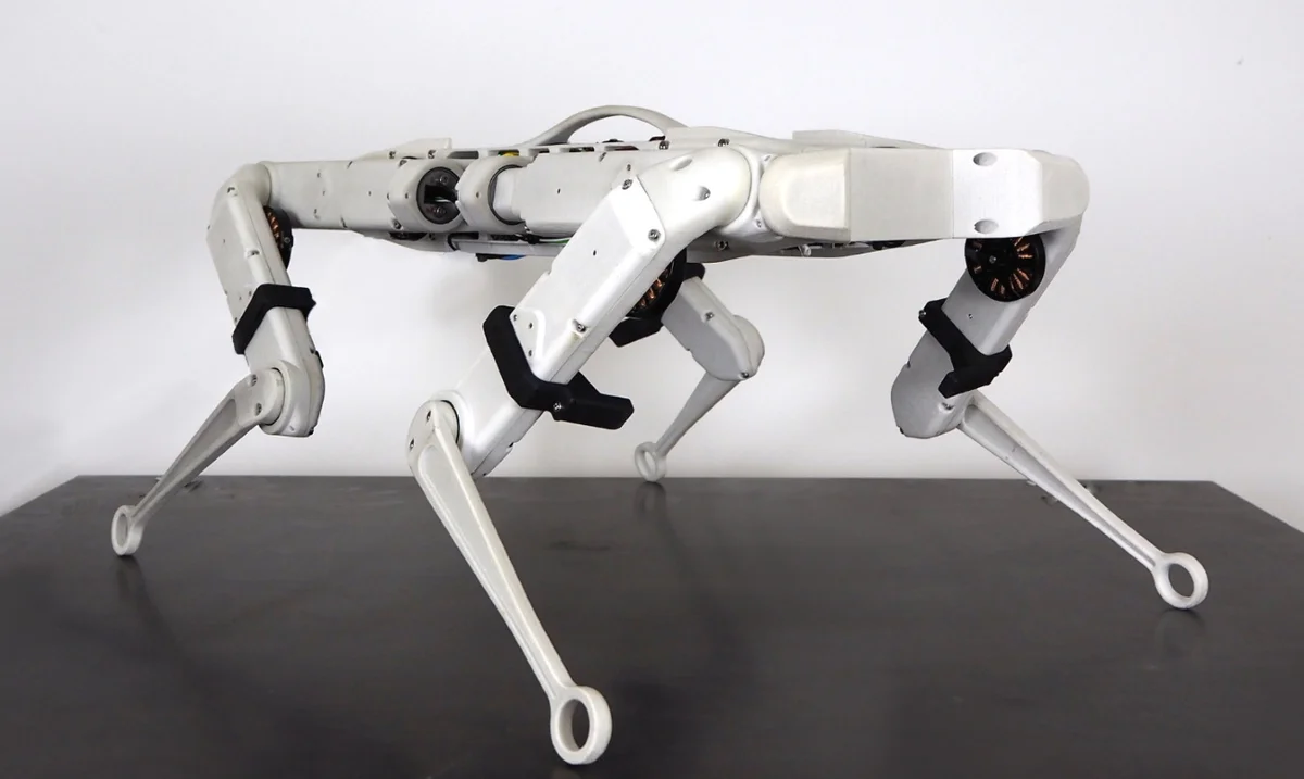 Solo12 Quadruped photo 2