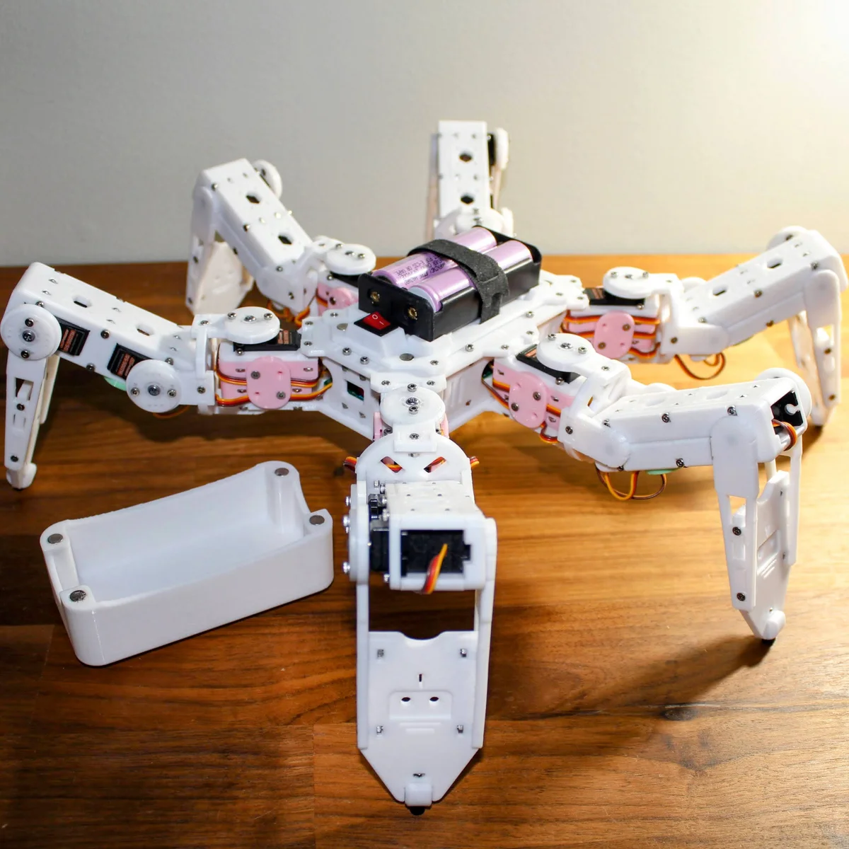 Hexapod photo 2