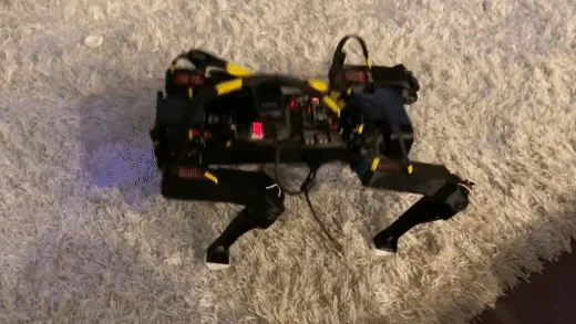 OpenQuadruped photo 2