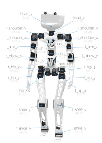 Poppy Humanoid photo 4