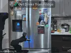 XLeRobot Dual-Arm Mobile Home Robot photo 2