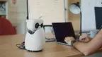 Reachy Mini — Humanoids